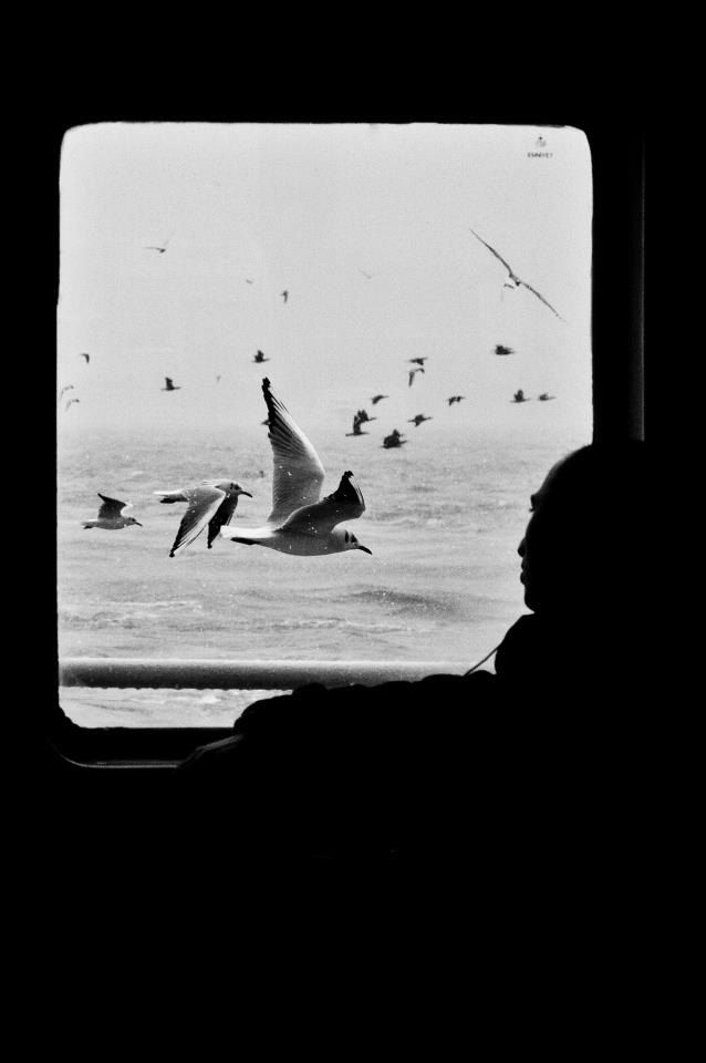 2012, Istanbul